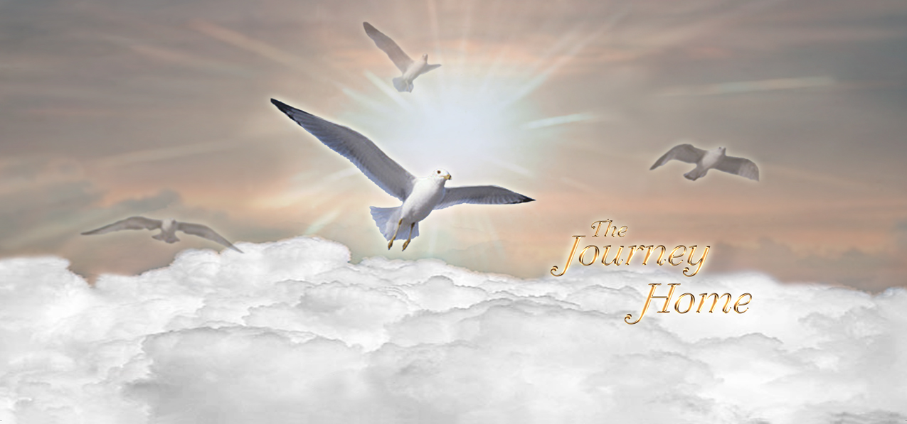 P 101 BZ Journey Home Clouds Birds Bronze